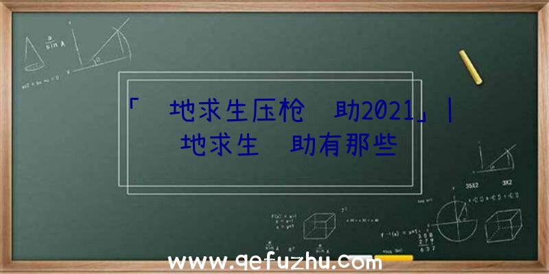 「绝地求生压枪辅助2021」|绝地求生辅助有那些